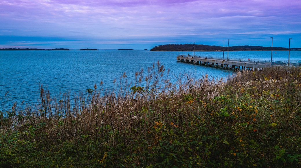 Dramatic purple cloudscape over the river bank with wild plants in Quincy Bay at dusk.
