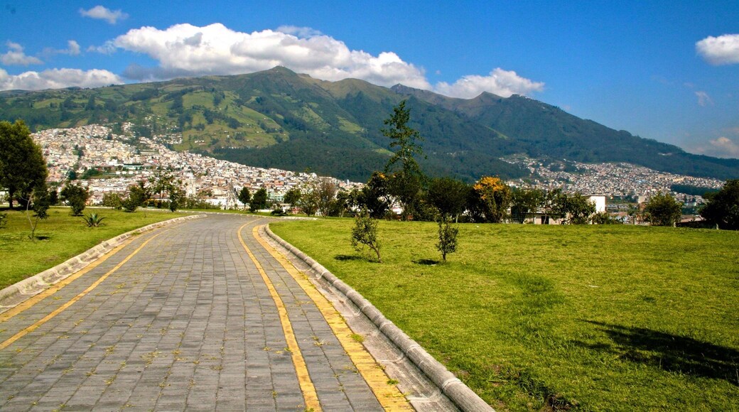 Follow the yellow brick road. We took a city tour of #Quito, #Ecuador and were pleasantly surprised by the beauty, the landscape, the history, and architecture. 💗