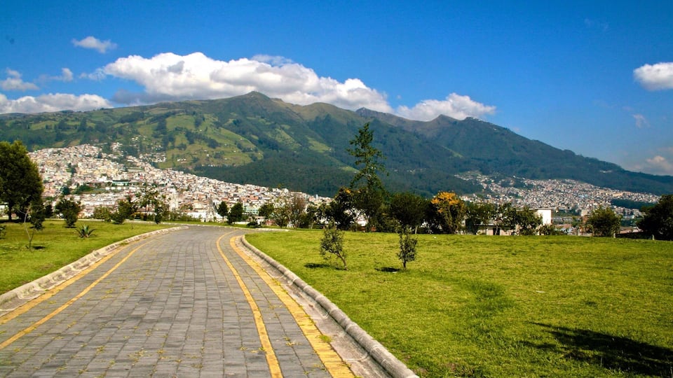A paved road curving through a grassy area with a city in the background and mountains in the distance.