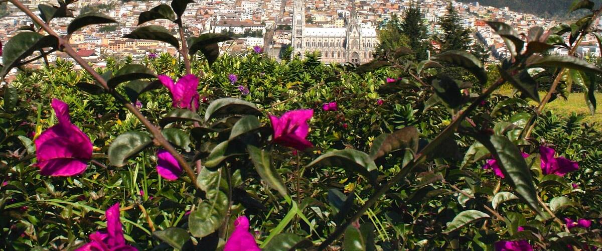 We took a city tour of #Quito, #Ecuador and were pleasantly surprised by the beauty, the landscape, the history, and architecture. 💗