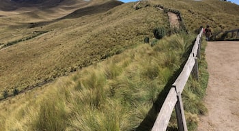 On the way from 4100 to 4700m, the top of Rucu Pichincha. The house mountain of Quito serves well as acclimatization hike for Mt. Cotopaxi! #hiking