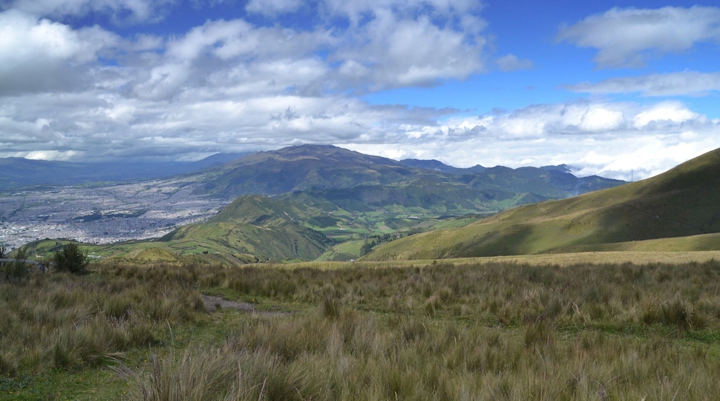 I took the Teleferico - cable car - up a mountain in Quito, Ecuador. It stopped after about 20 minutes, at approximately 4000m above sea level, where I got an amazing view over Quito and the Andes.
http://www.quito.com.ec/que-visitar/otros-atractivos/teleferico
#mountains #landscape #ecuador #andes