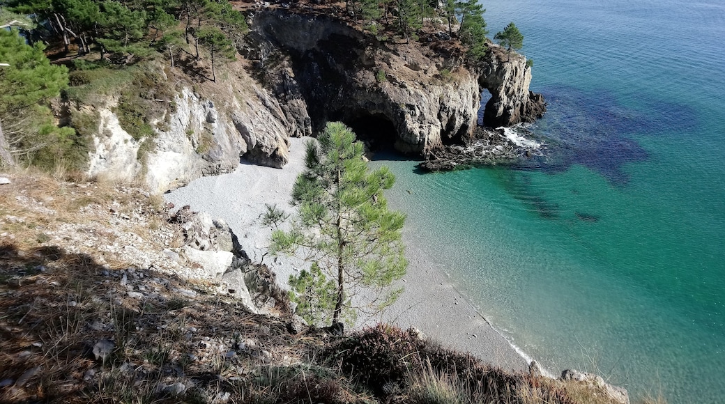 L'Île Vierge ou Pointe de Saint-Hernot, presqu'île de Crozon (près du village de Morgat, Bretagne, Finistère, France)