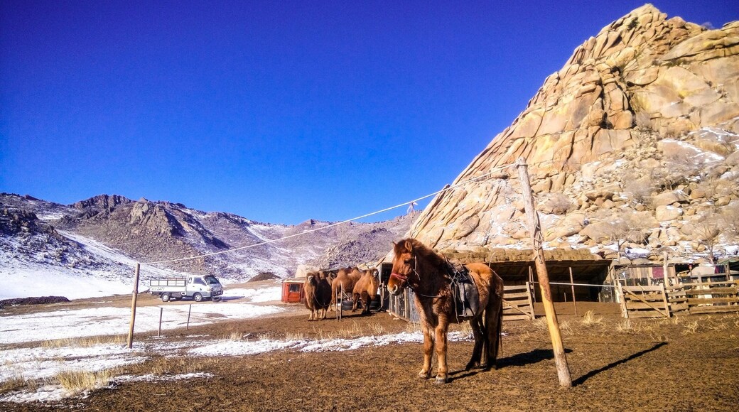 Still in the country side of Mongolia!!