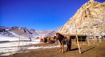 Still in the country side of Mongolia!!