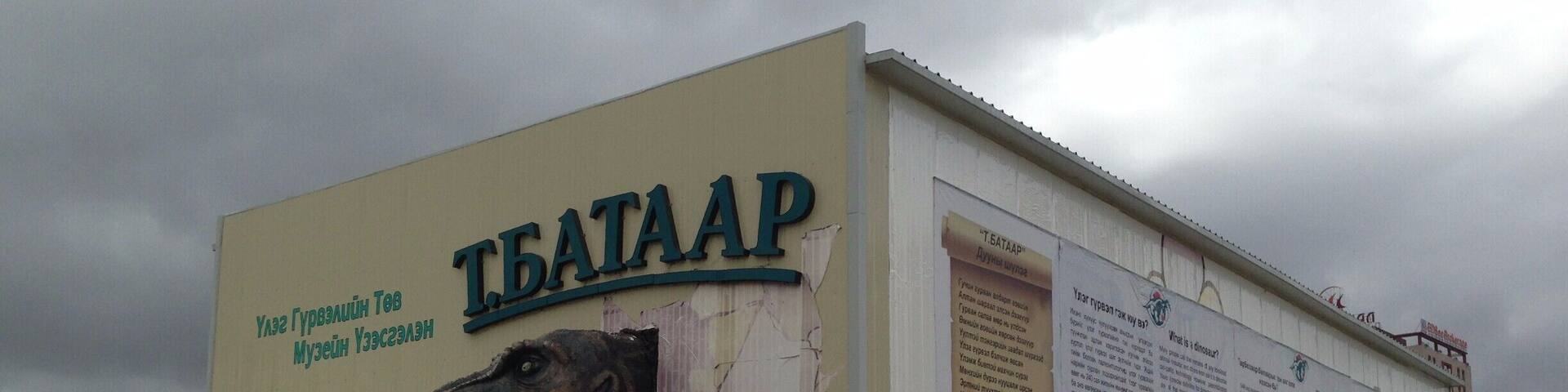 When I first arrived in UB there was a pretty ordinary shed cluttering up the square with this dinosaur head popping out. The story inside of the rescued dinosaur skeleton was well told and fascinating. #dinosaurs