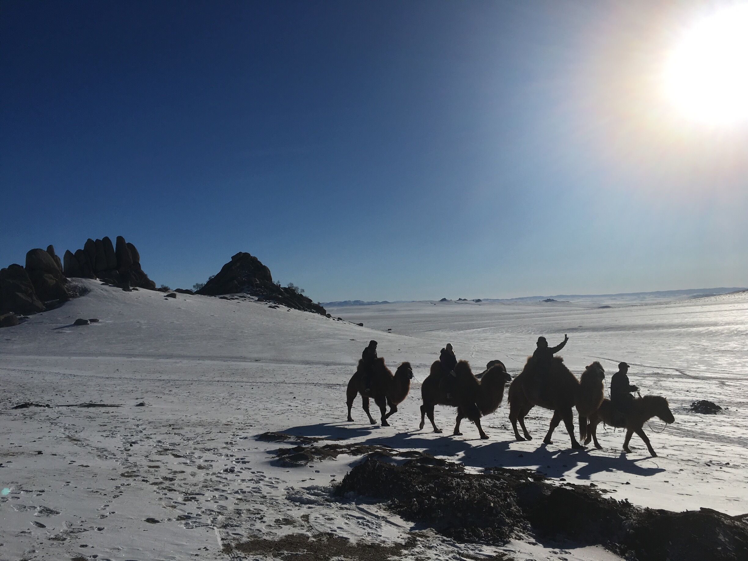 (Mini) Gobi Desert #Mongolia