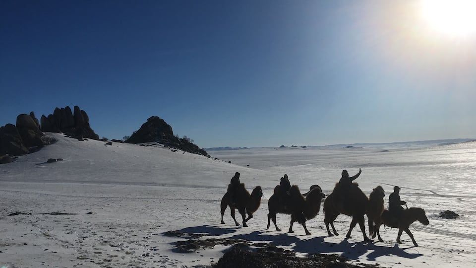 (Mini) Gobi Desert #Mongolia