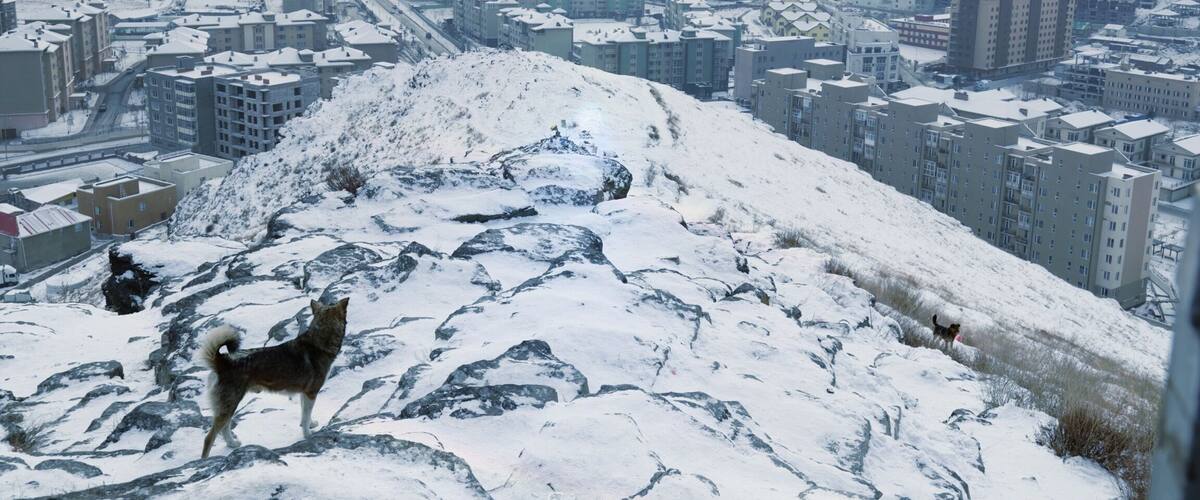 A view of a new suburb in UlaanBaatar taken from the Zaisan Memorial. Early Jan . Winter