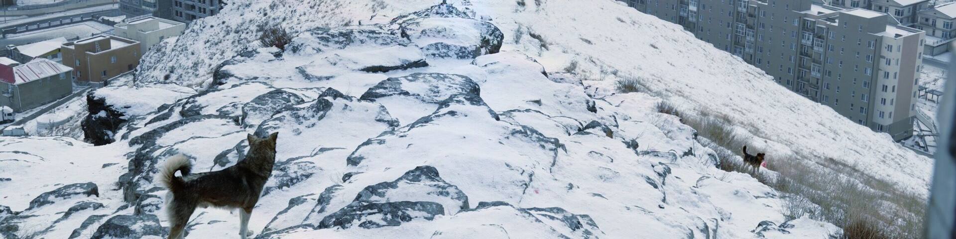 A view of a new suburb in UlaanBaatar taken from the Zaisan Memorial. Early Jan . Winter