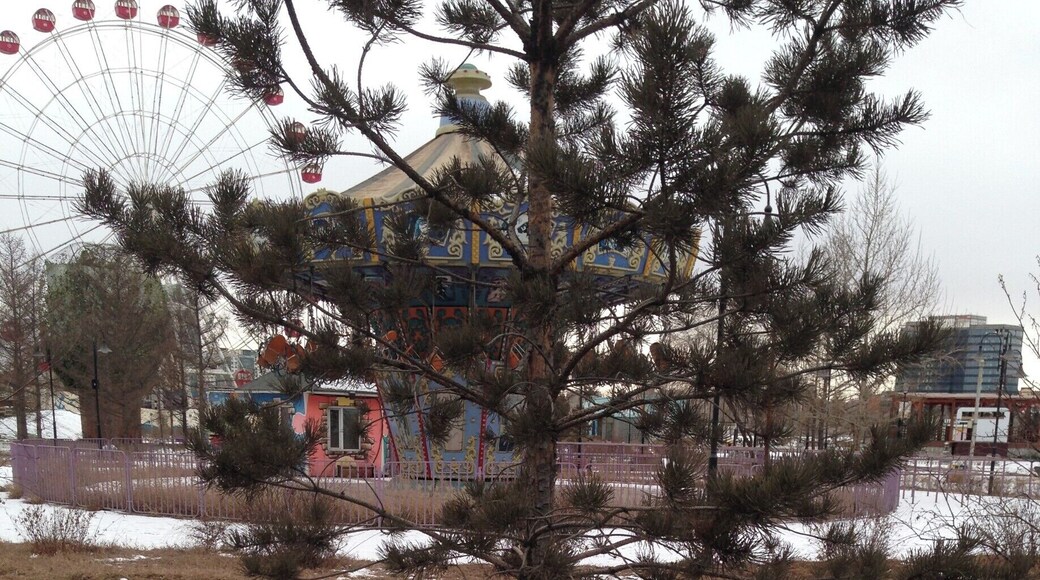 How to water a tree in Ulaanbaatar - break up the blocks of ice and leave around the base of the tree. Now wait until Spring!