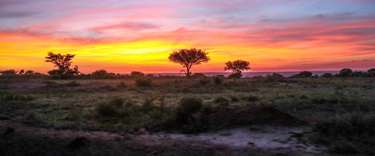 A sunset over a savanna with three prominent acacia trees silhouetted against a colorful sky.
