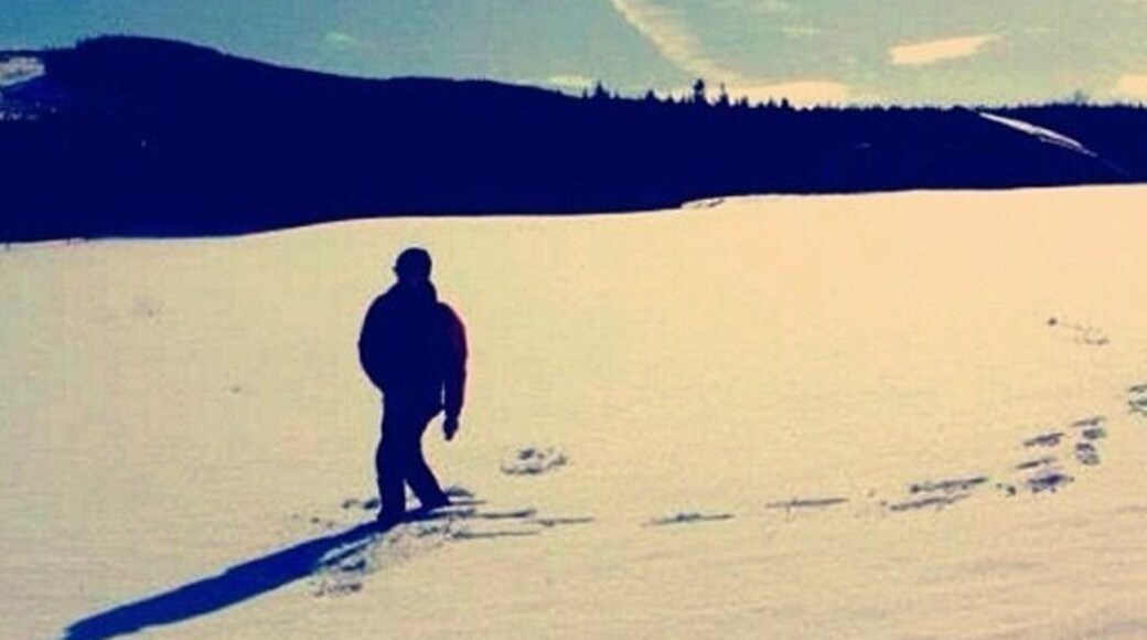 In the middle of nowhere near Umeรฅ, way up in Sweden! The first walk in fresh snow on untouched territory makes you feel like an explorer!