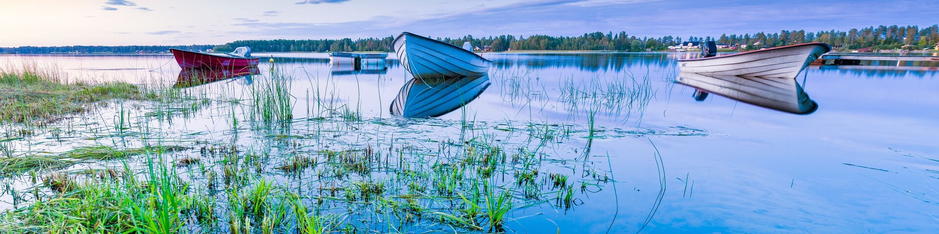 Três barcos em um lago calmo, com grama em primeiro plano e uma margem arborizada ao fundo.