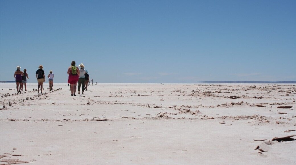 Lake Hart has something dramatic. I loved exploring this salt lake. It almost seems infinite even though it's one of the smaller ones in Australia. It's right beside the Stuart highway, so easy to go to. For more check out http://prettypacked.wordpress.com/2014/07/02/off-to-the-never-never-must-sees-on-the-road/