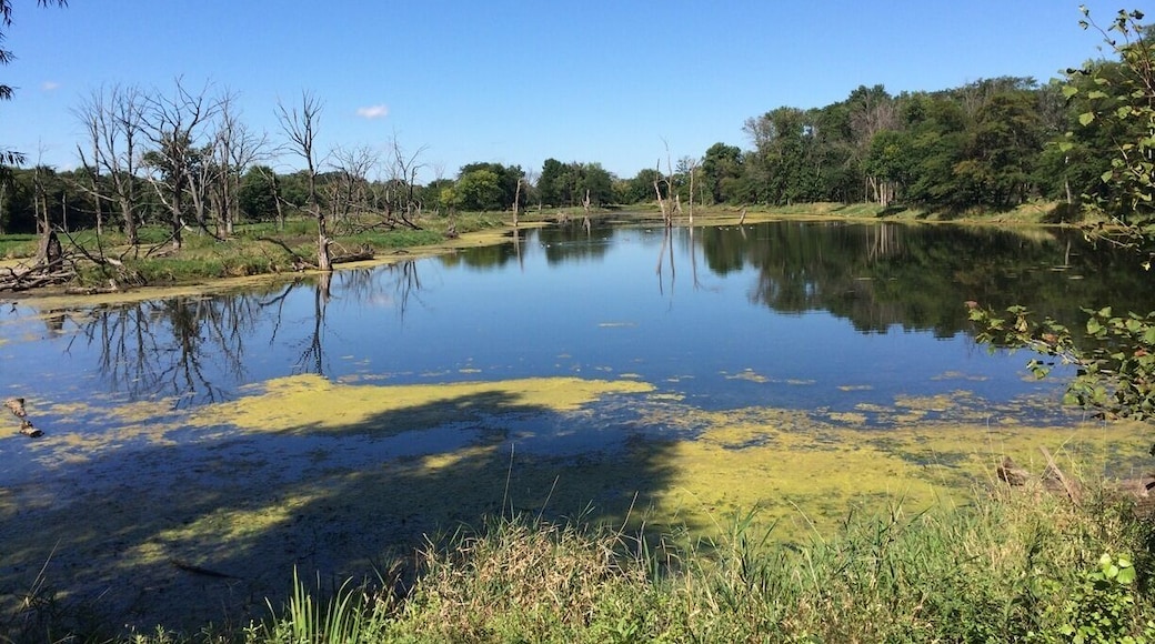 One of the many small lakes that surround this section of the Cedar River. George Wyth State Park contains woods for hiking, wet lands, and a small beach.