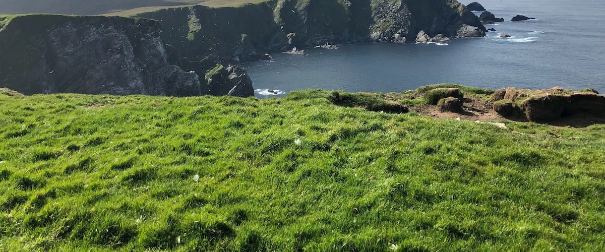 View towards cliffs with roosting gannets.