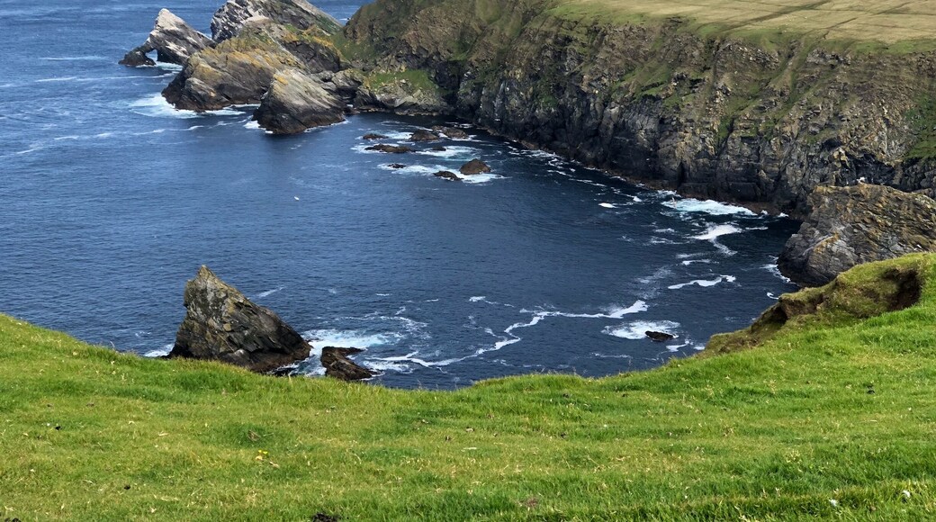 Two mile hike along boardwalks over heather and peat moss to cliffs overlooking Muckleflugga lighthouse. Spectacular views.