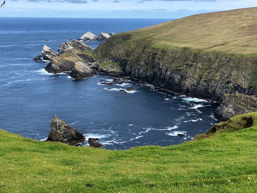 Two mile hike along boardwalks over heather and peat moss to cliffs overlooking Muckleflugga lighthouse. Spectacular views.
