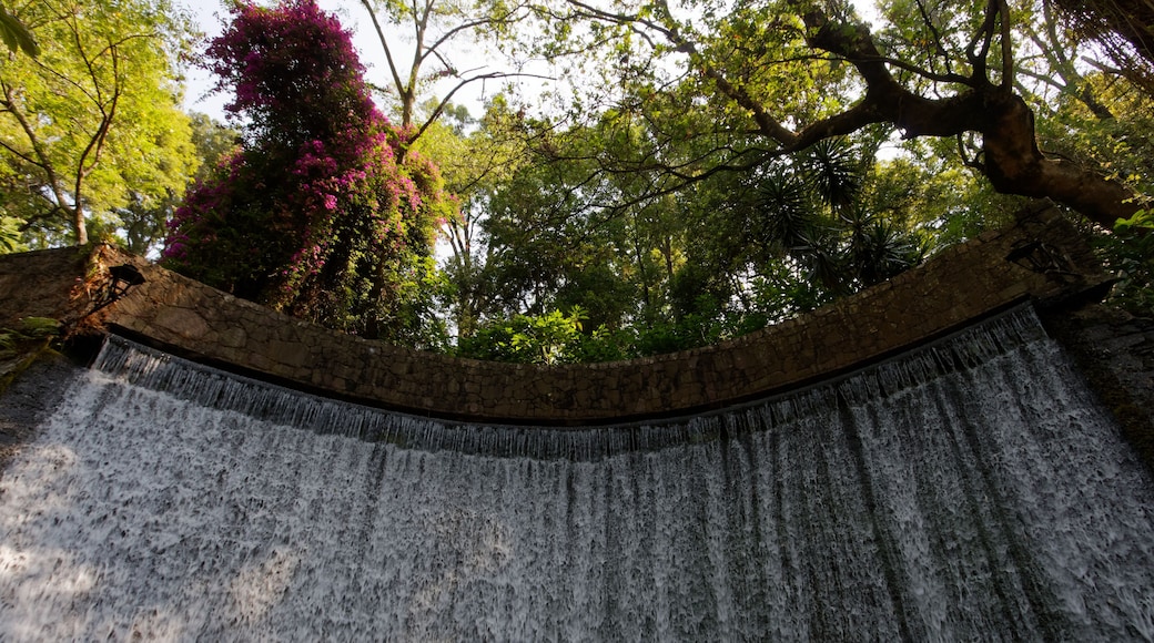 Najmiejszy park narodowy w Meksyku - Barranca del Cupatitzio