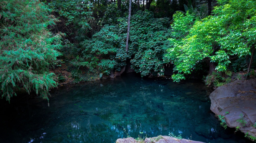 waterfall in the forest at Uruapan Park in Mexico