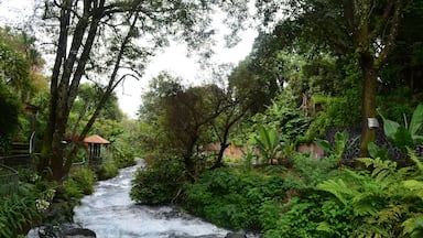 Parque Líneal, Uruapan, Michoacán