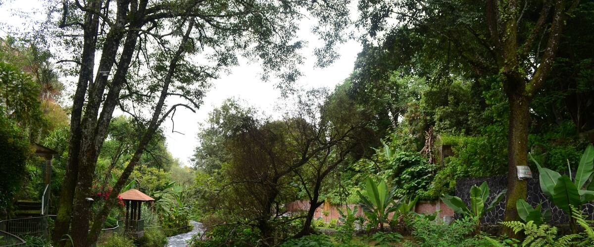 A flowing river surrounded by lush greenery and a small structure.