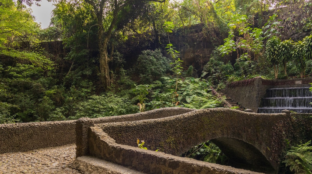 El Gran Parque Nacional de Uruapan, Michoacán