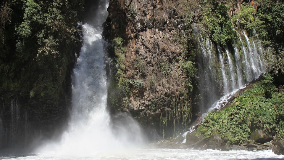A multi-tiered waterfall surrounded by dense forest.