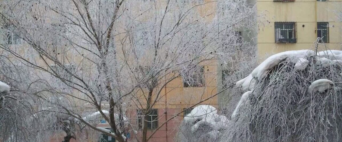love the snow here!