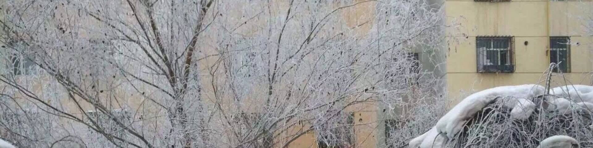 A snow-covered garden with bare trees and a building in the background.