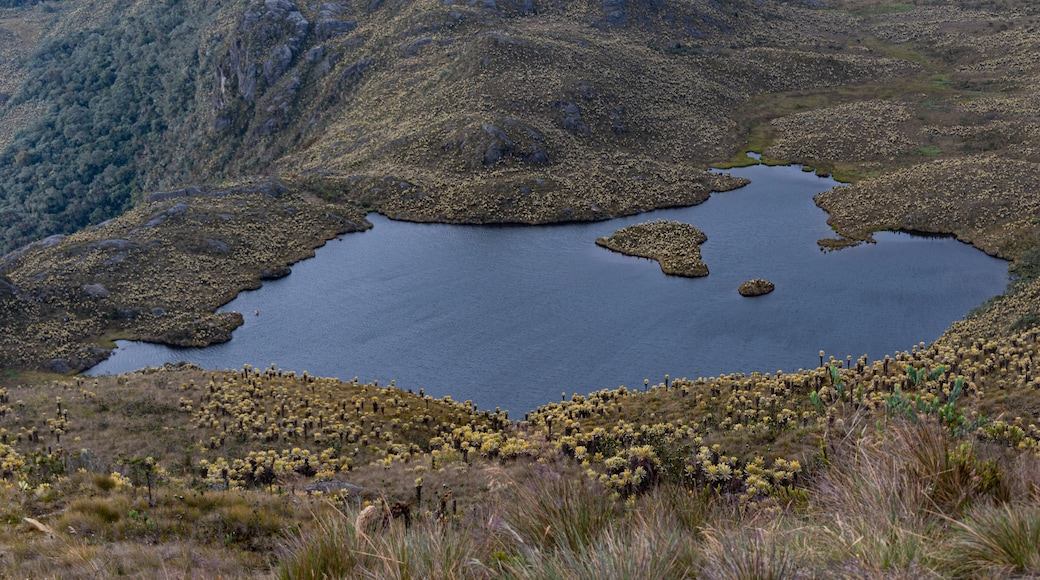 Lake in the colombian mountains