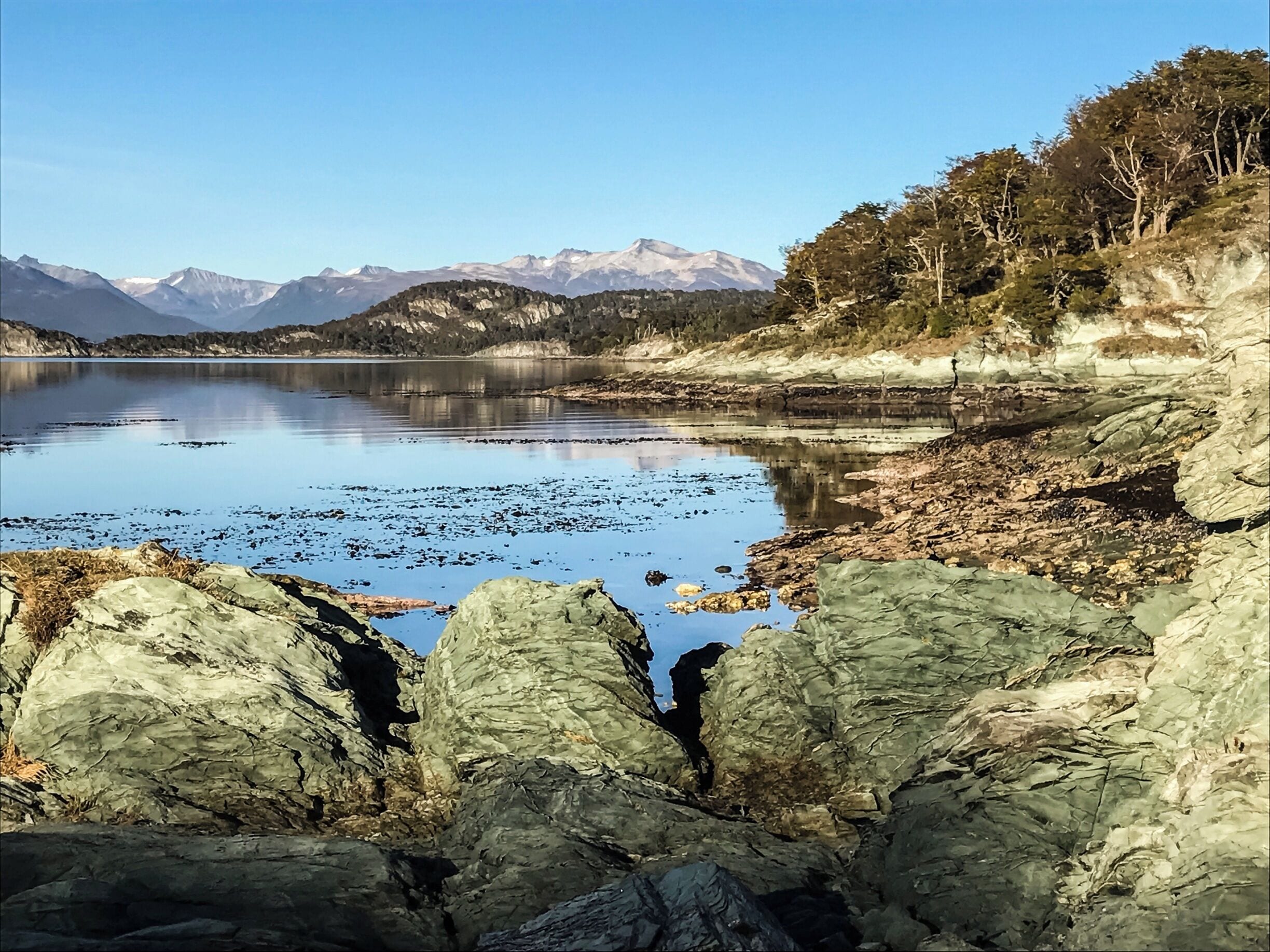 '' All journeys have secret destinations of which the traveler is unaware.” — Martin Buber