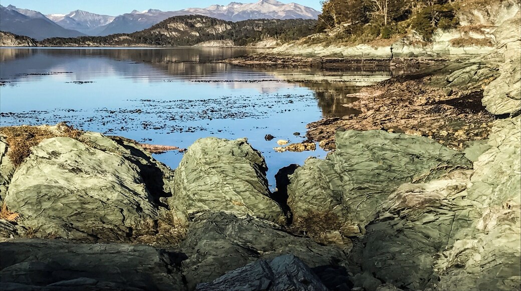 '' All journeys have secret destinations of which the traveler is unaware.â â Martin Buber