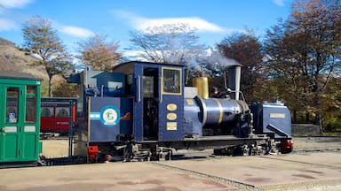 Una locomotora de vapor con un logotipo azul y dorado, un edificio de estación verde y árboles al fondo.