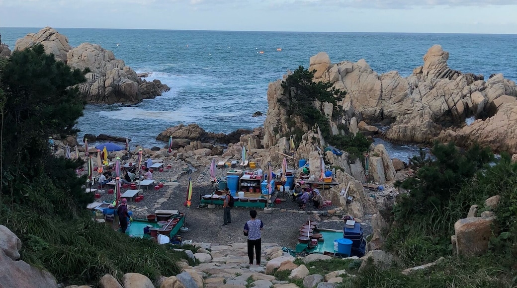 Not far from the lighthouse there are places to eat by the sea.