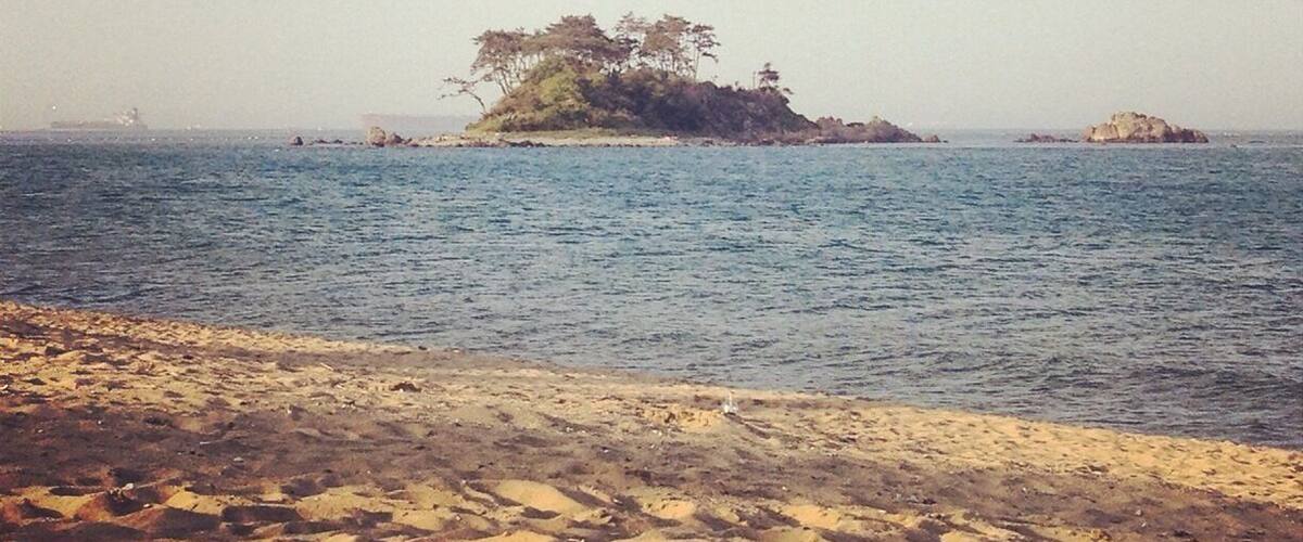 A calm sea with a small island covered in trees.