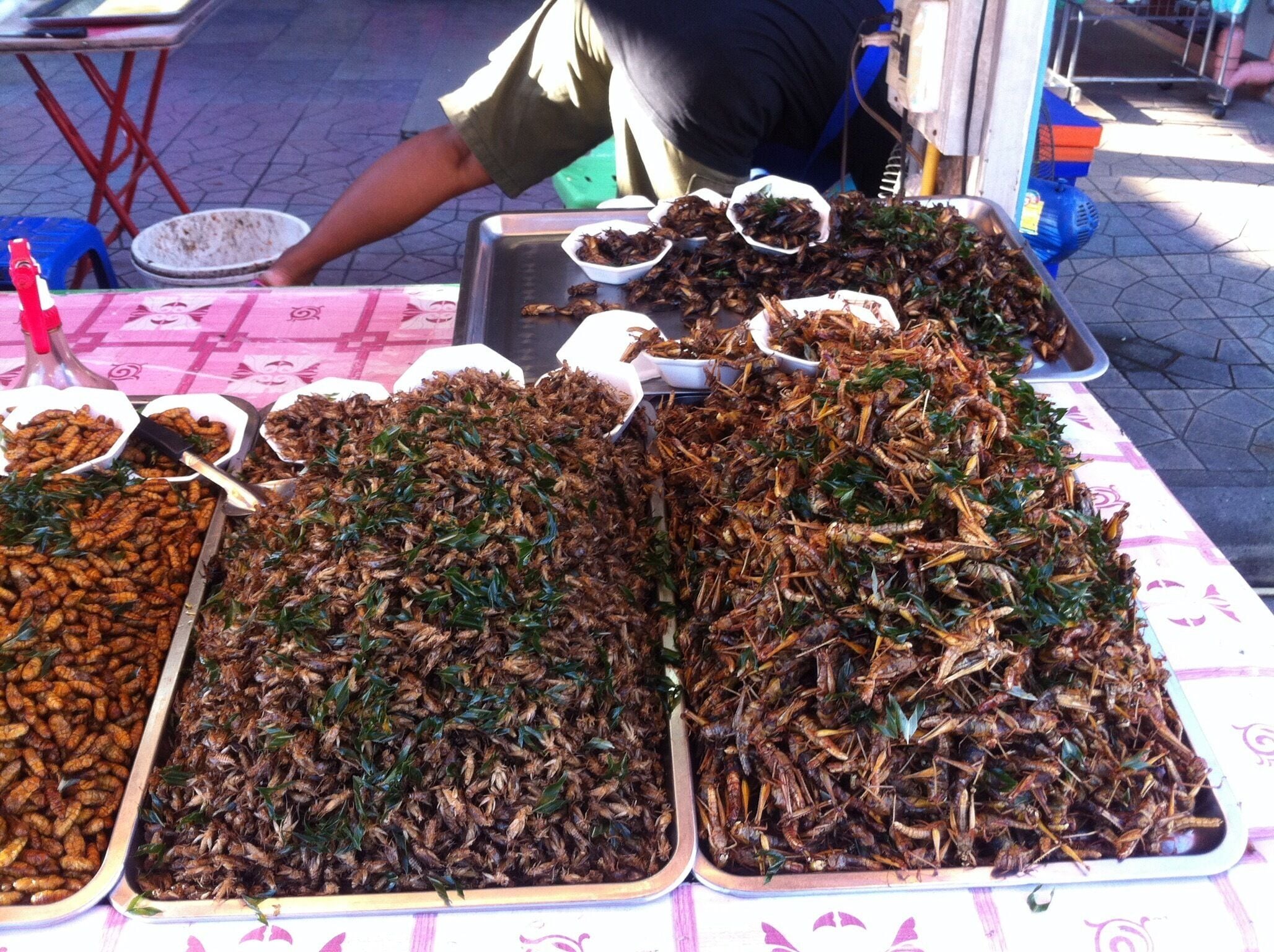 And for the more adventurous....an assortment of bugs. 😖 he says they cant keep them full they sell like crazy!