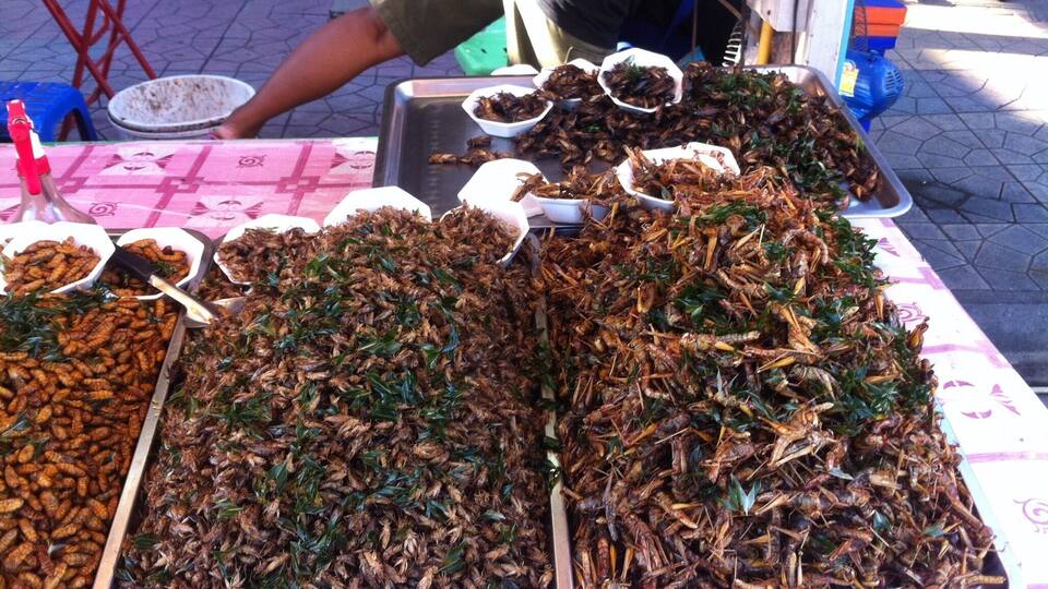 And for the more adventurous....an assortment of bugs. 😖 he says they cant keep them full they sell like crazy!