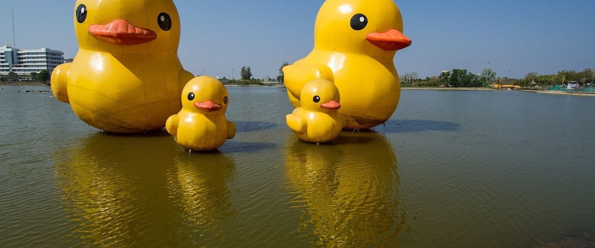 #Quack!
I have absolutely no idea why there’s a family of giant #yellow ducks on the lake in Nong Prajak Park in Udon Thani, #Thailand 🇹🇭. They’re kind of cute, though.
#LifeAtExpediaGroup