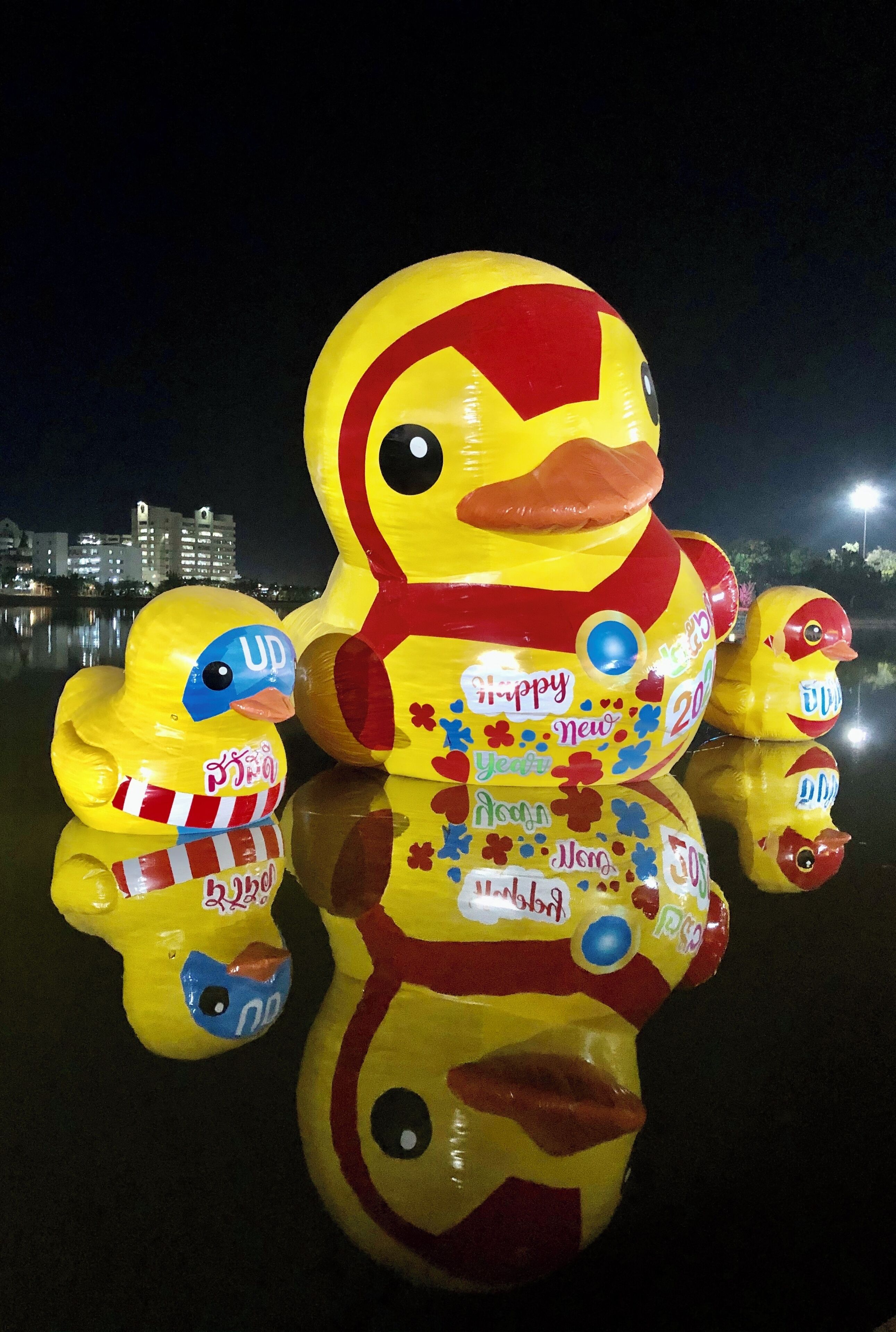 The floating ducks in the lake in Udon Thani City 