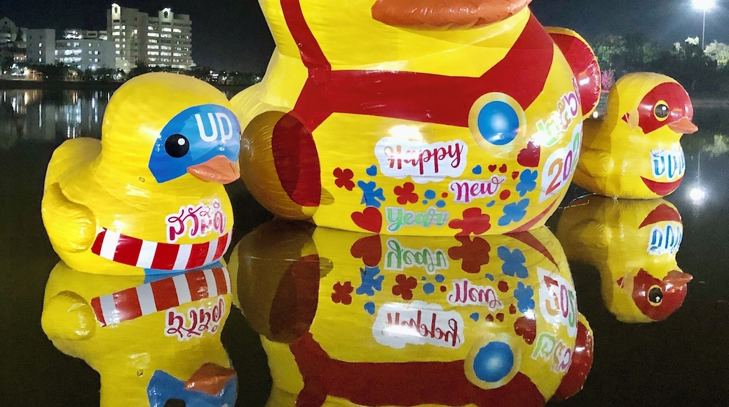 The floating ducks in the lake in Udon Thani City