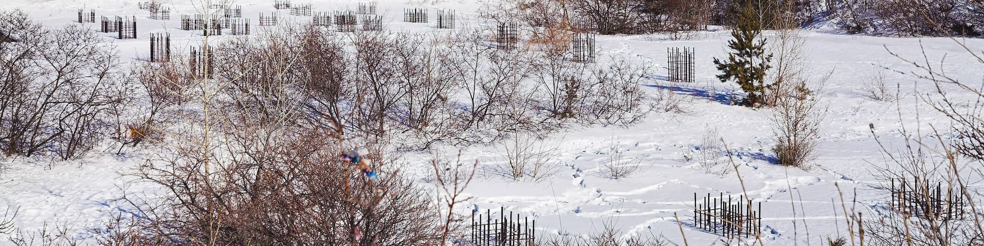 A traditional multi-tiered pagoda with red and yellow colors, surrounded by snow-covered landscape and trees.