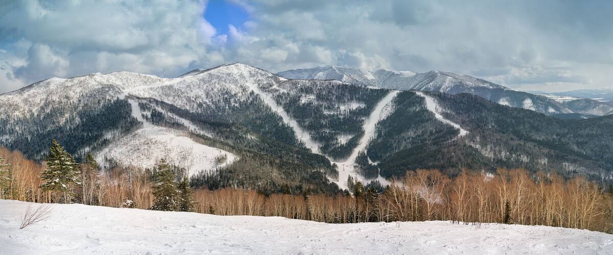 A snow-covered mountain range with clear skies and a forested valley.