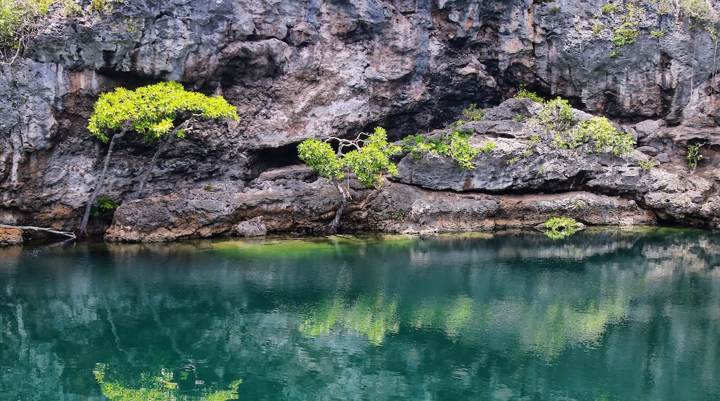 Limestone cliff with trees in Turtles Hole on Ouvea Island, Loyalty Islands, New Caledonia