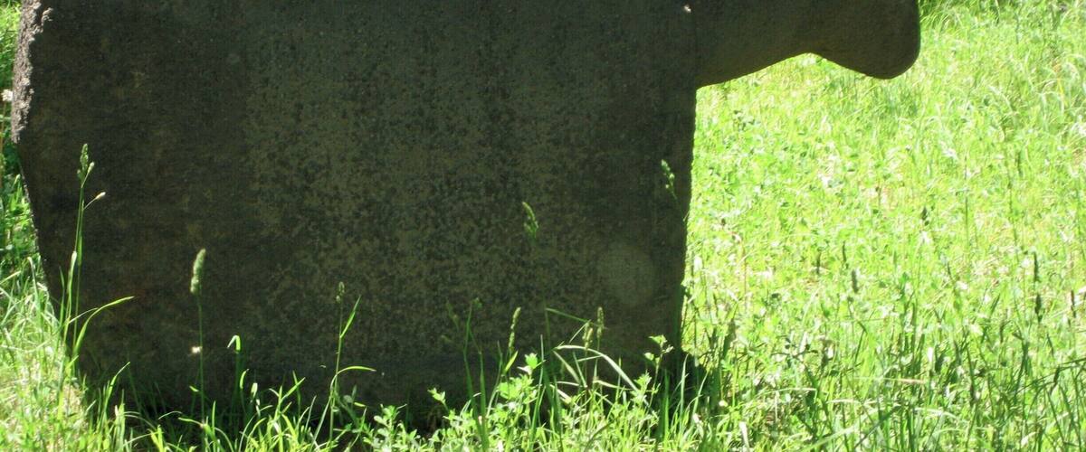 Yes, that's a black sheep tomb stone. There were many of them and a complete puzzle to me. By the way, there are Van cats with white hair and one brown eye and one blue eye.