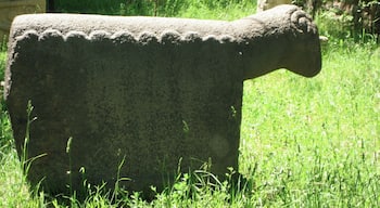 Yes, that's a black sheep tomb stone. There were many of them and a complete puzzle to me. By the way, there are Van cats with white hair and one brown eye and one blue eye.