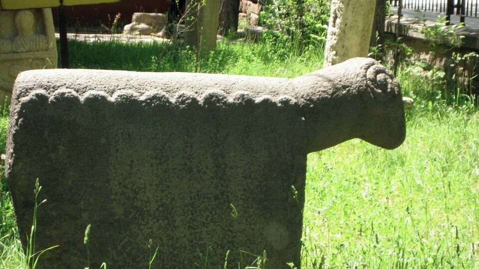Yes, that's a black sheep tomb stone. There were many of them and a complete puzzle to me. By the way, there are Van cats with white hair and one brown eye and one blue eye.