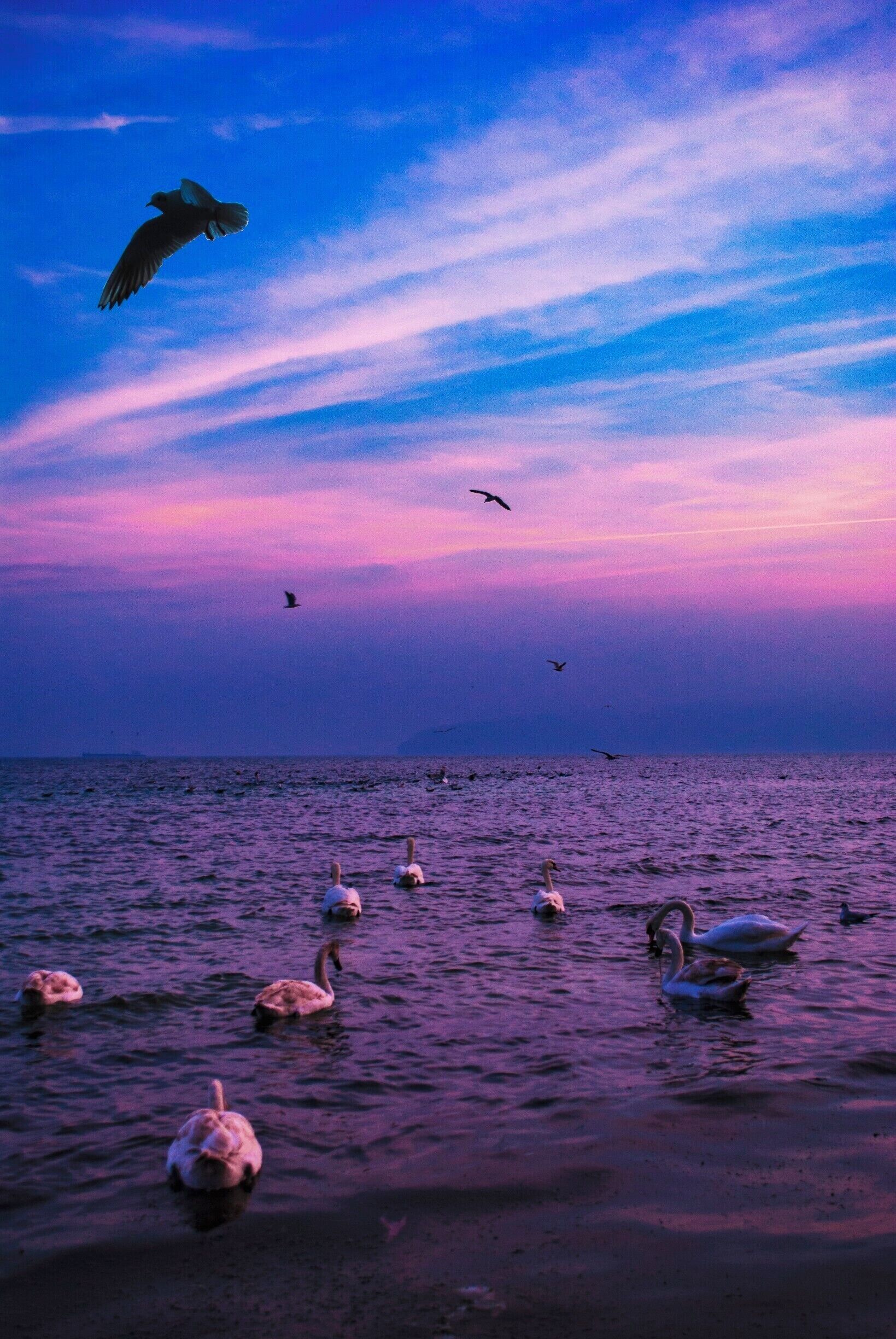 Winter always bring them here.
 #Hometown