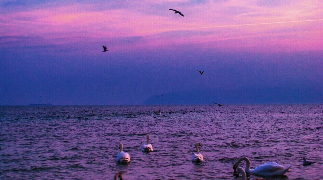 Winter always bring them here.
#Hometown